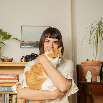 How To Cat Proof Your Home Petmd